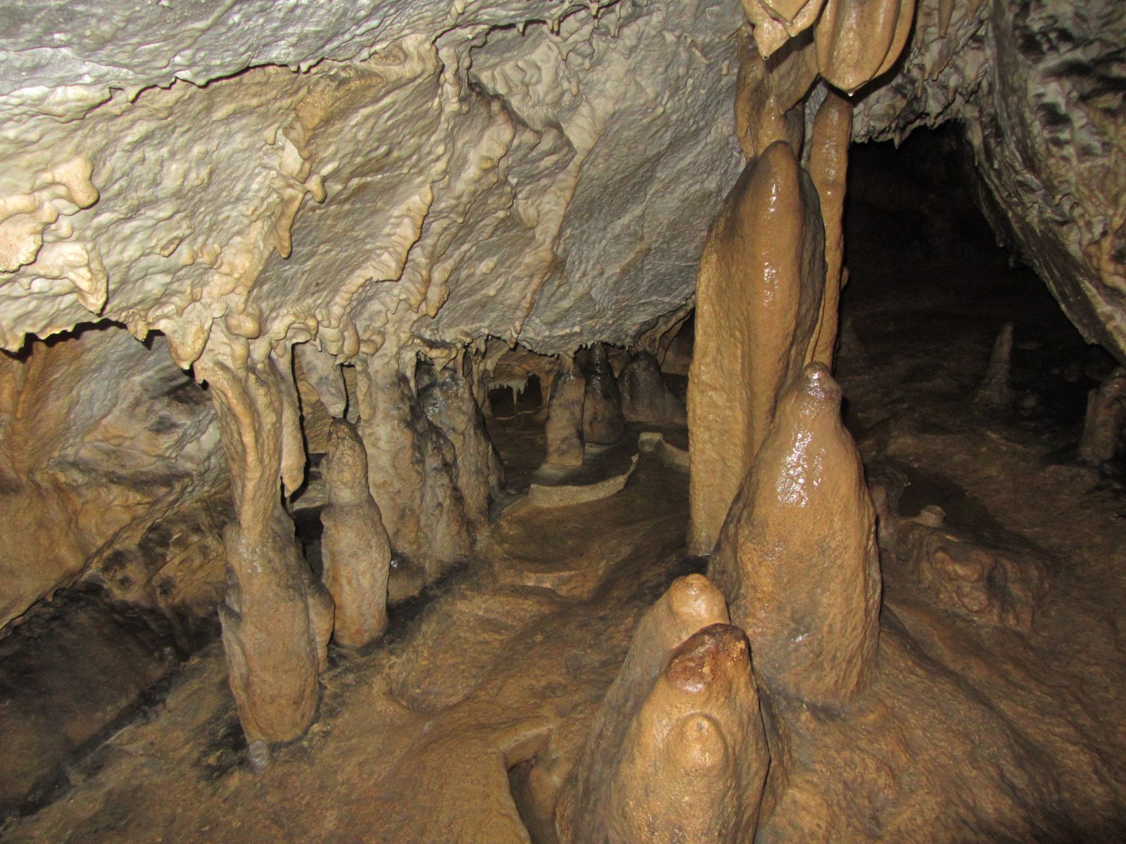 V jaskyni môžete vidieť stalagmity a stalaktity 