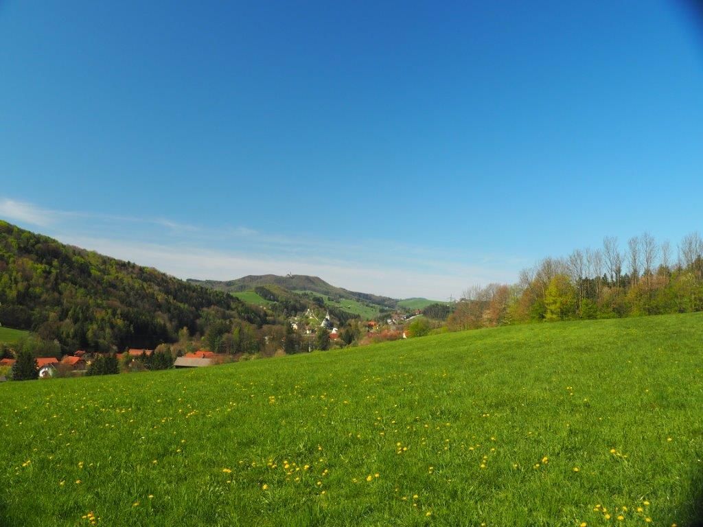 Zelený Kaumberg