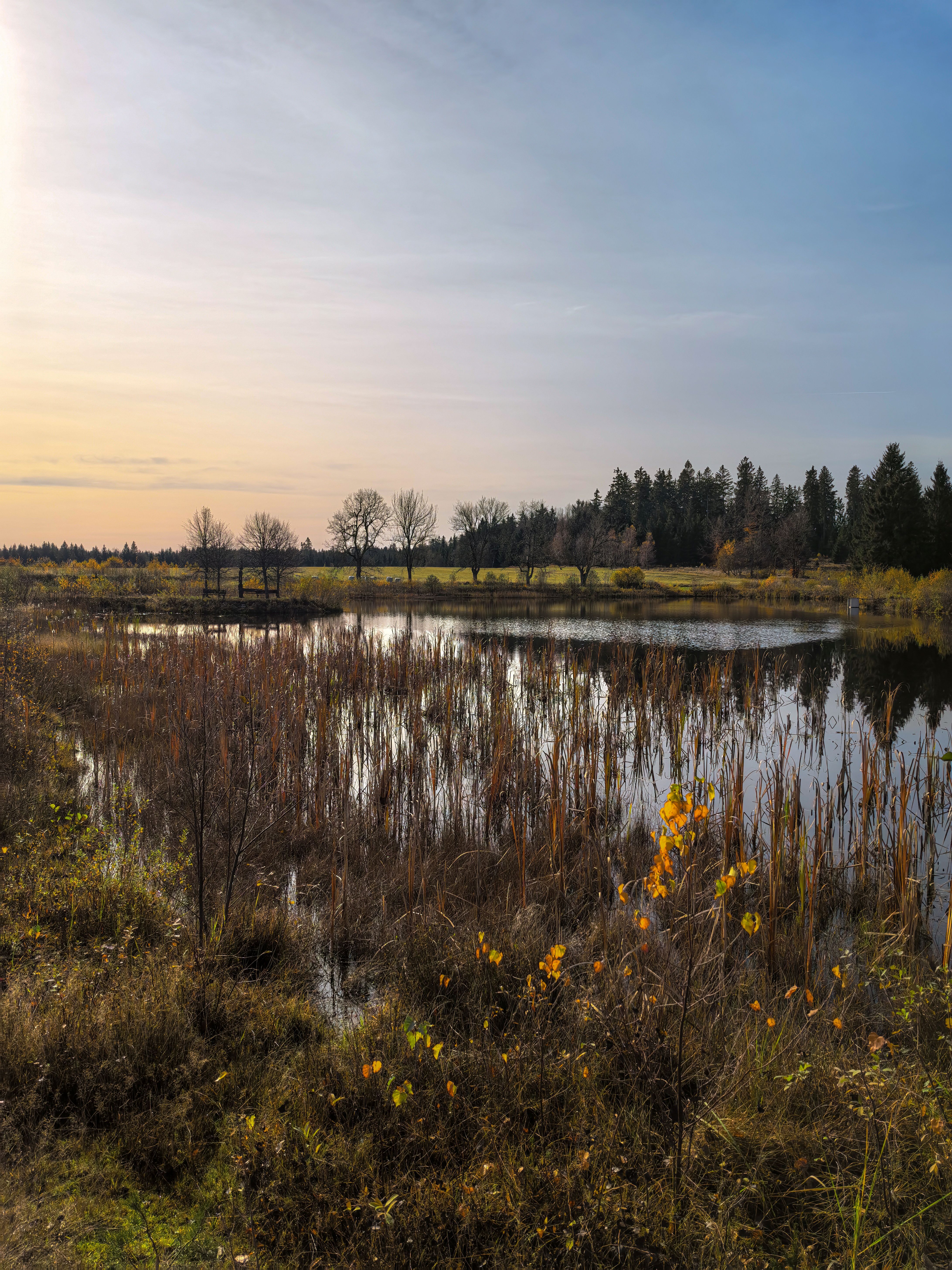 Česká Kanada