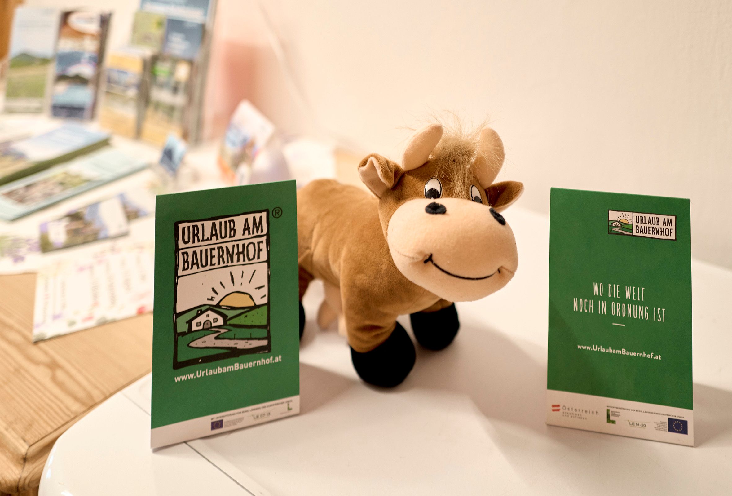 Plyšová hračka v tvare kravy stojí medzi dvoma letákmi s nápisom "Farm holiday".
