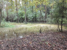 Seelackenbergweg, &copy; Anton Hollaus