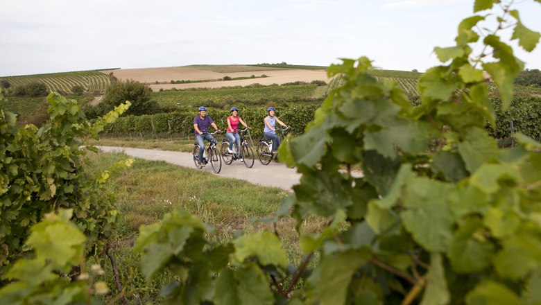 E-biking in the Weinviertel, &copy; Weinviertel Tourismus / Wurnig