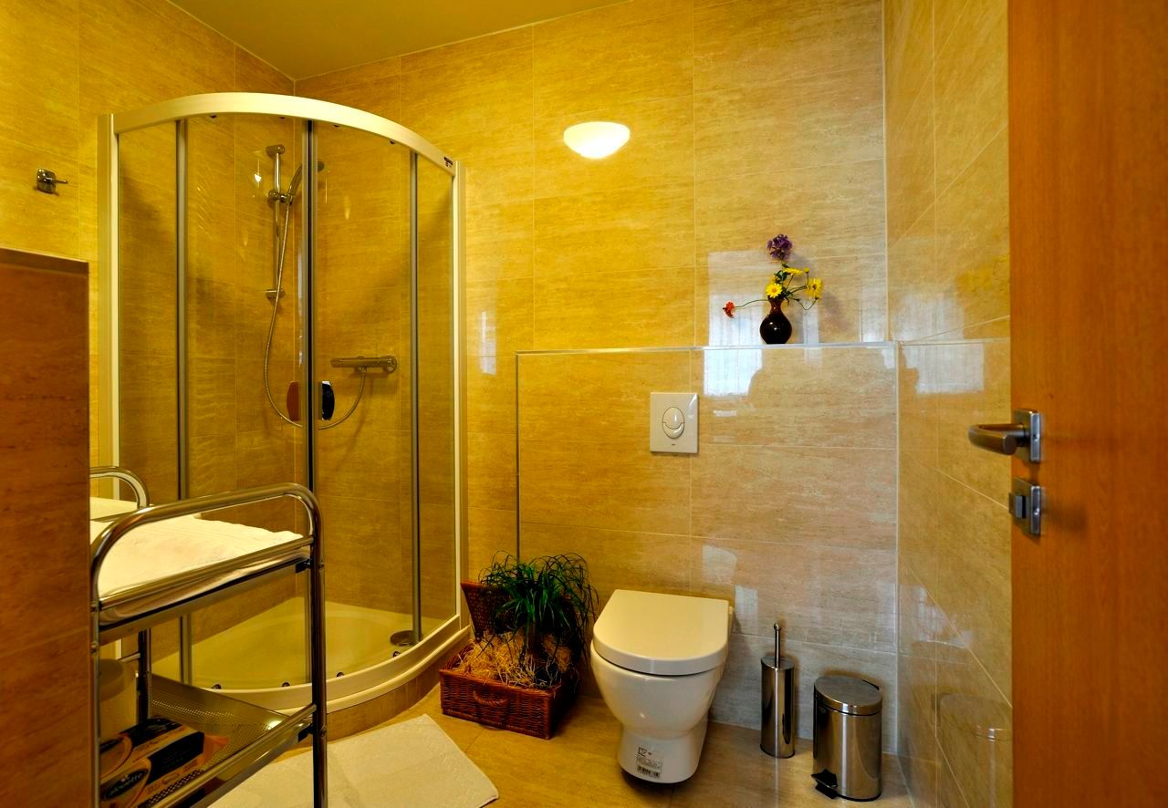 Moderná kúpeľňa so sprchovacím kútom, WC a rastlinami.