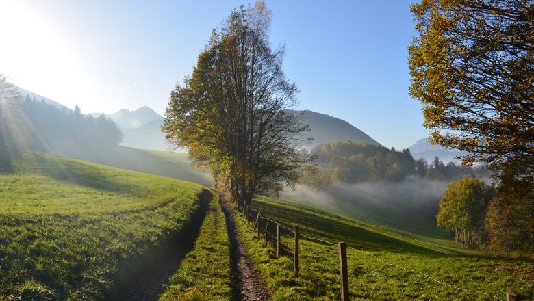 Turistický chodník vedie zelenou krajinou so stromami a horami v pozadí, ktorú osvetľujú slnečné lúče.
