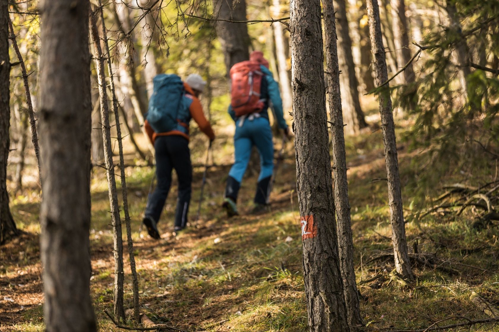 Turistika na diaľkových turistických trasách Alpannonia