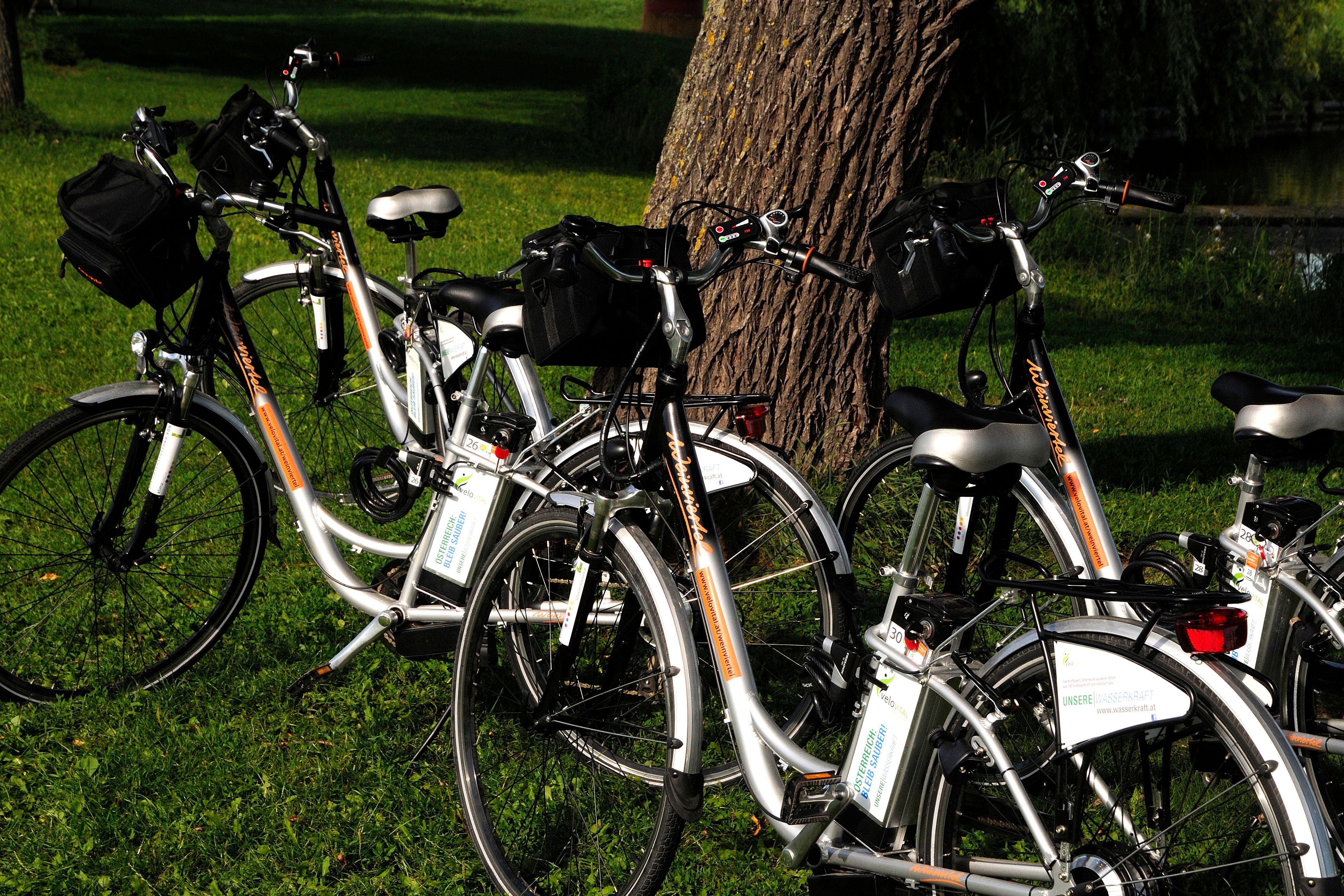 Na lúke pred stromom je zaparkovaných niekoľko elektronických bicyklov.