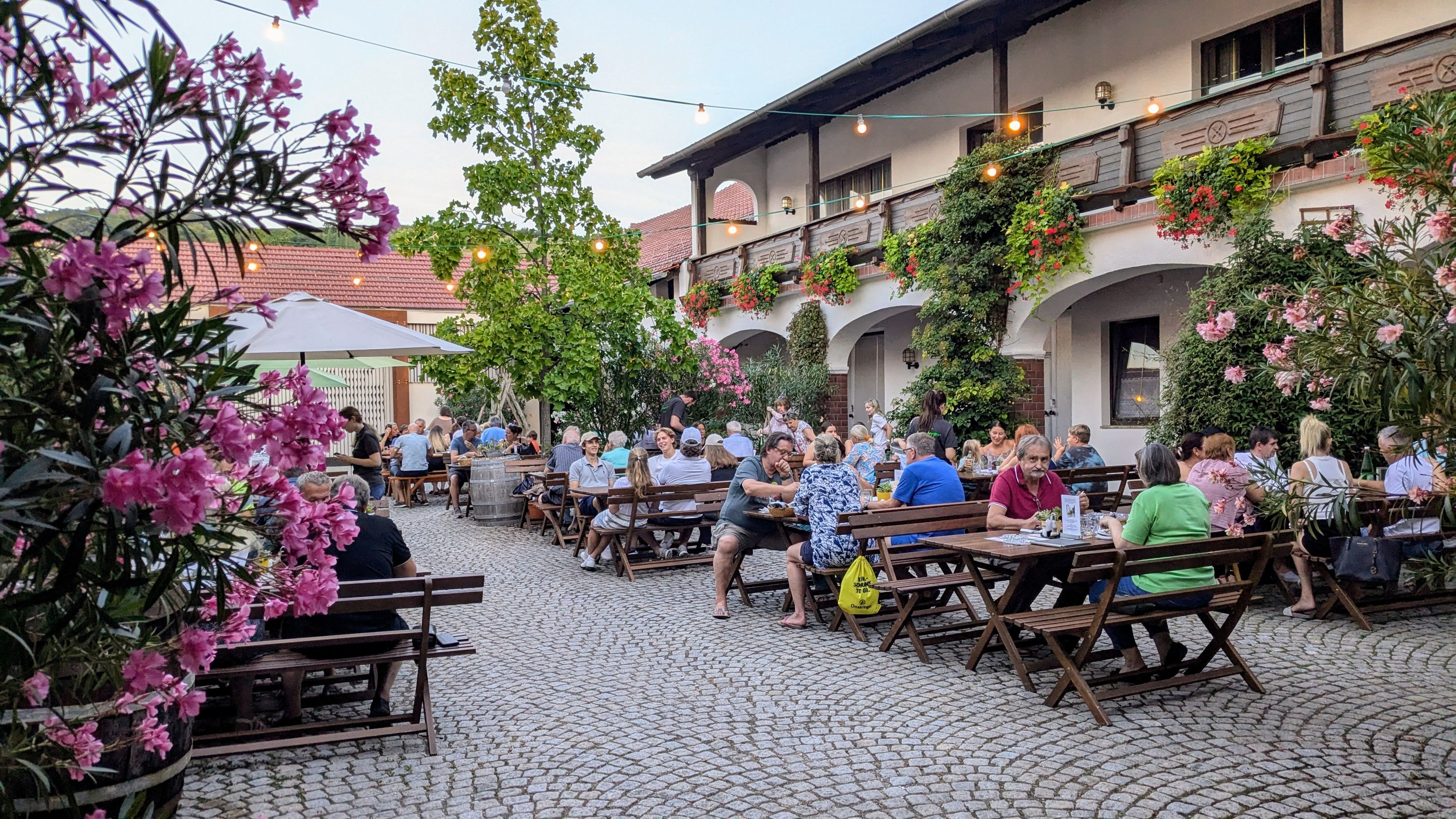 Útulná záhrada pre hostí s drevenými stolmi a lavicami, obklopená kvitnúcimi rastlinami a rozprávkovými svetlami. Ľudia si tu môžu posedieť a vychutnať si atmosféru.
