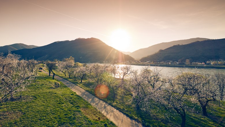 Jar vo Wachau, © Andreas Hofer