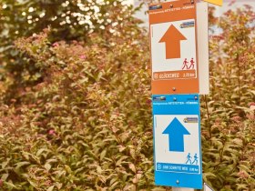 Beschilderung der Rundrouten in den Gemeinden, &copy; Donau Nieder&ouml;sterreich / Klaus Engelmayer