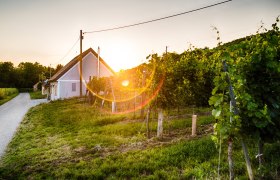 V&iacute;nne uličky Feuersbrunn, vinice a pivnice pri z&aacute;pade slnka