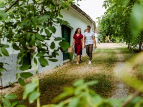 Kellergassen am WAGRAM, &copy; Donau Nieder&ouml;sterreich - Kamptal-Wagram-Tullner Donauraum