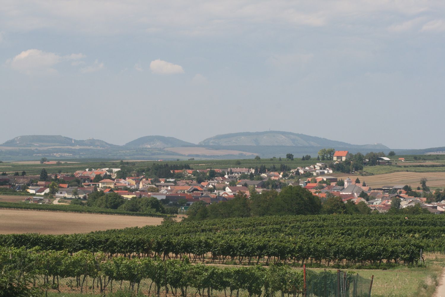 Krajina s dedinou, vinicami a kopcami v pozadí.