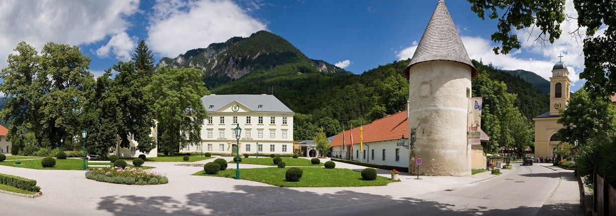 Zámok Reichenau (Copyright: Trhové mesto Reichenau)