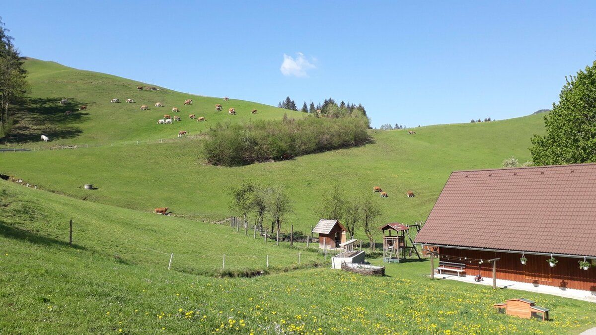 Dovolenka na farme-Oberrehau