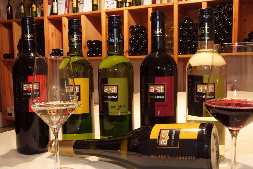 Rôzne fľaše vína a poháre na stole vo vínnej pivnici.