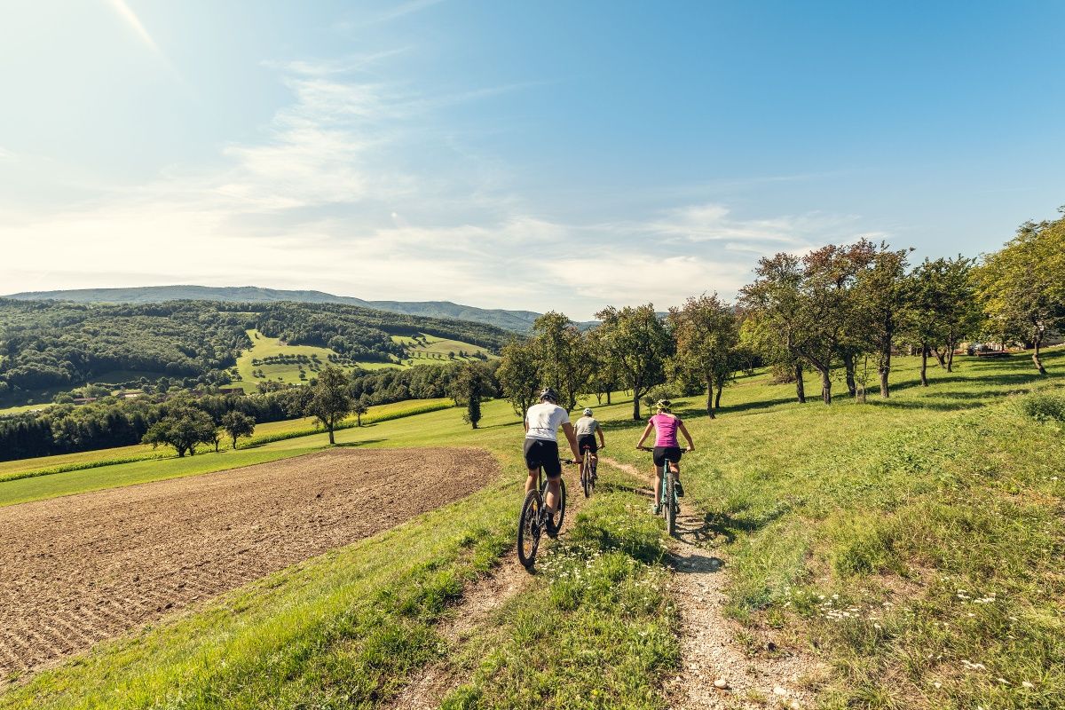 MTB Viedenský les