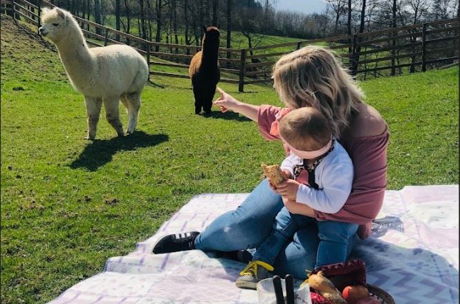 Picnic with the alpacas, &copy; Wagner-Hubbauer