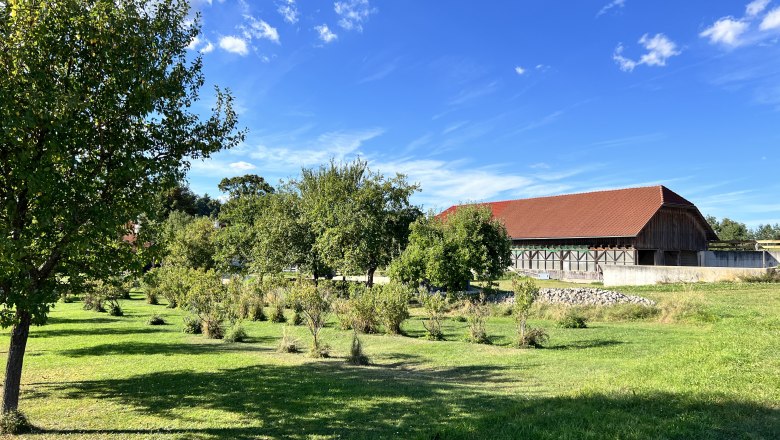 Orchard, &copy; Anna-Maria Stocker