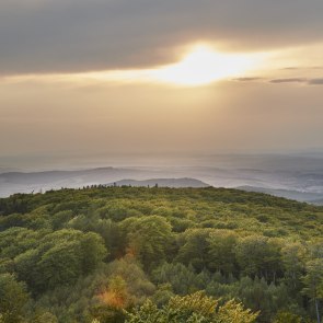 Biosférická rezervácia Viedenský les, © Andreas Hofer