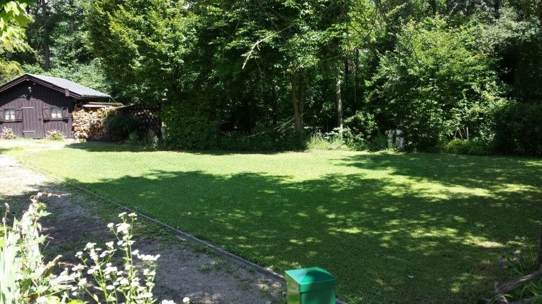 Zelená lúka so stromami a drevenou chatkou v pozadí.