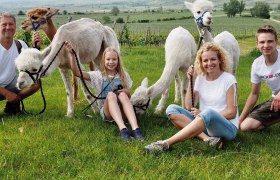 Kamp Valley ("Kamptal" in German) alpacas, &copy; Kamptal Alpakas, Herr Popp