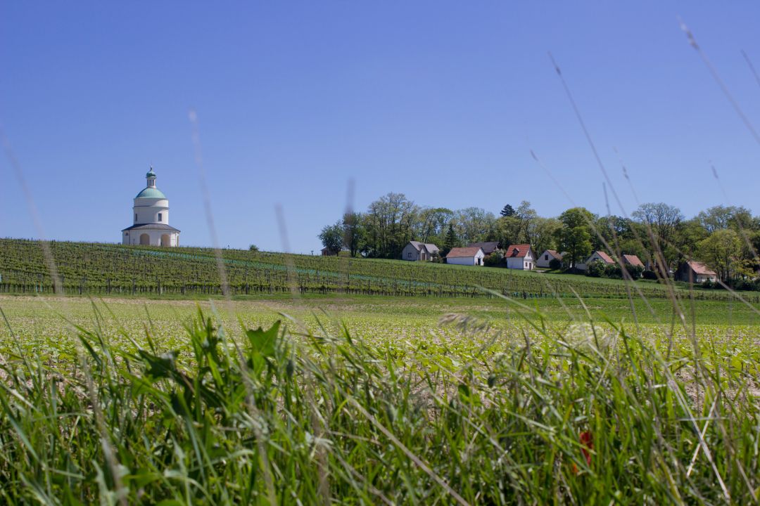 Krajina s kaplnkou, vinicami a domami pod modrou oblohou.