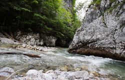 Der klare Fluss schlängelt sich durch die beeindruckende Felslandschaft, umgeben von üppigem Grün und majestätischen Bäumen. Hier, im Naturpark Ötscher Tormäuer, entfaltet sich die Schönheit der Natur in voller Pracht und lädt zu unvergesslichen Erlebnissen ein.