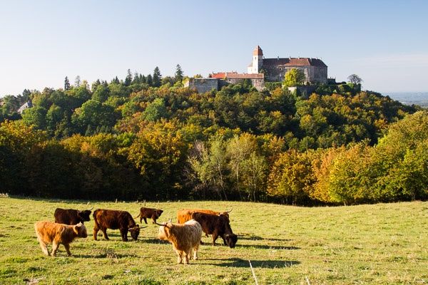 Jantárový hrad