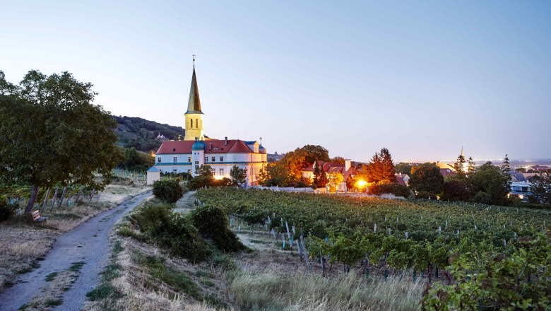 vínna jeseň vo Viedenskom lese, © Hauke Dressler