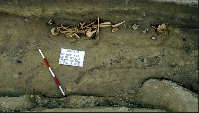 Archeologické vykopávky s kostrou a stupnicou.