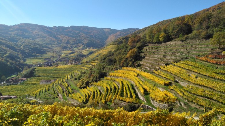 Na panoramatickom chodn&iacute;ku Spitzer Graben, &copy; Donau N&Ouml;: Heidi Schauer-Leberzipf