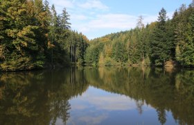 Pirschlwiesenteich, © OEAV Ortsgruppe Blindenmarkt