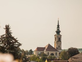 Weinherbst in Nieder&ouml;sterreich, Donau in Nieder&ouml;sterreich, &copy; Nieder&ouml;sterreich Werbung/Discover Austria