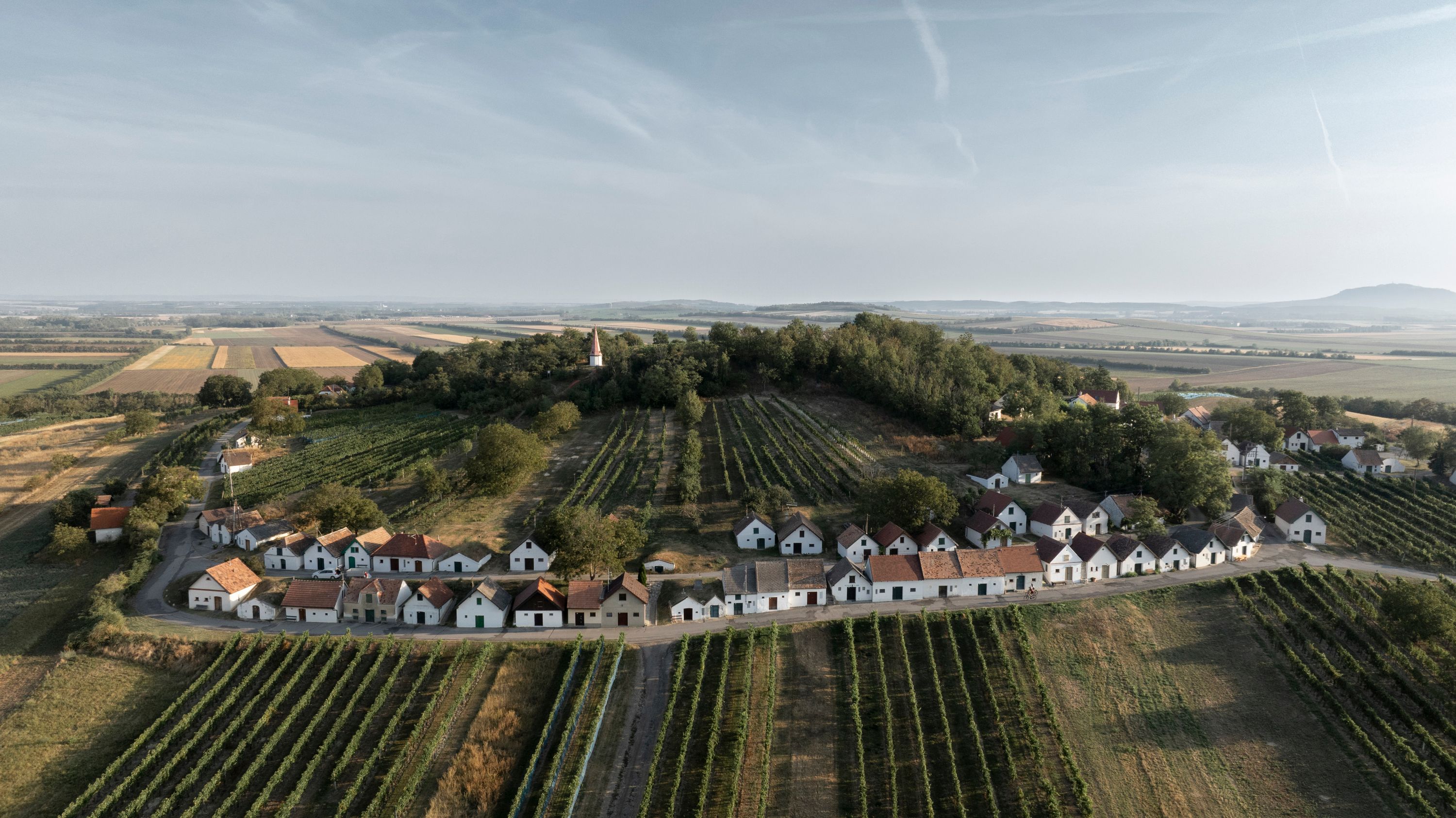 Wildendürnbach_Kellergasse Galgenberg_Radfahren(c)WTG_Frühmann (14)