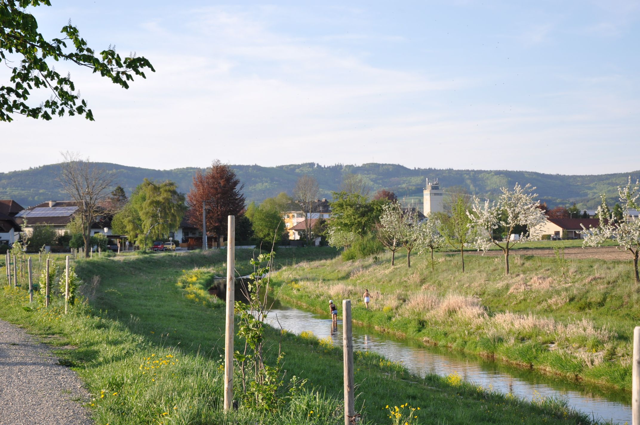Krajina s riekou, kvitnúcimi stromami a kopcami v pozadí.