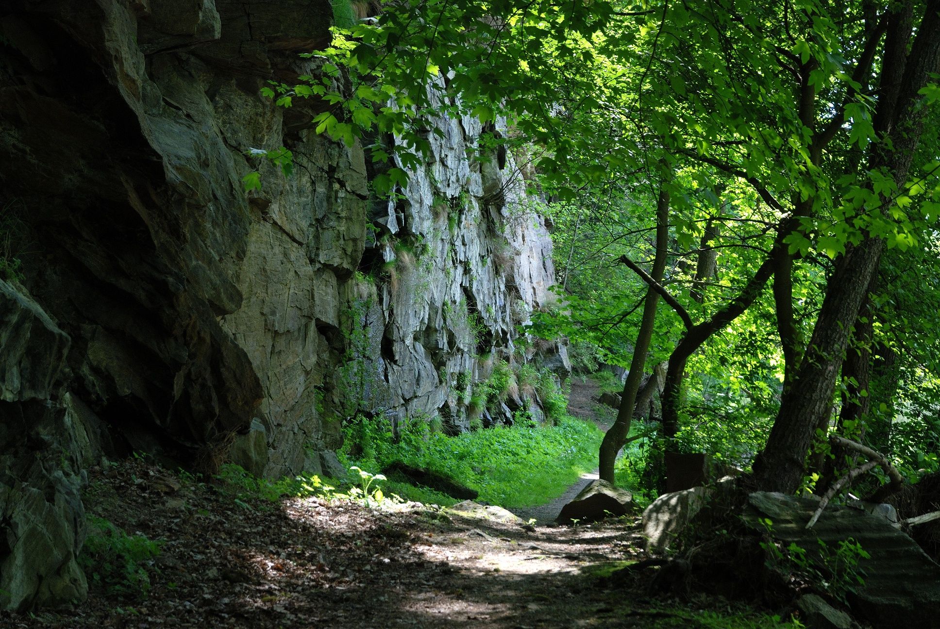 Zrúcanina Buchenstein-Weg