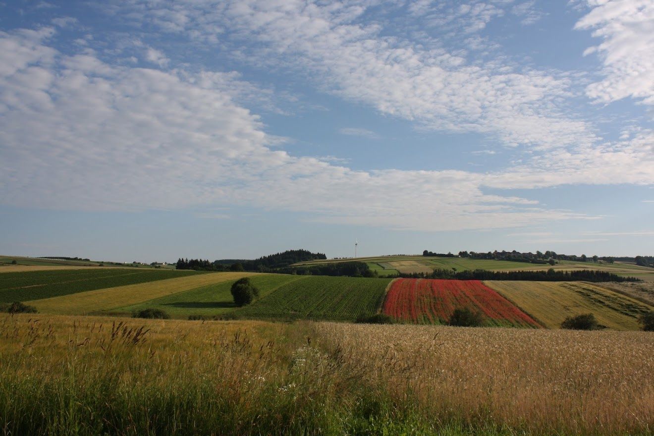Pohľad smerom na Pleßberg-Ottenschlag