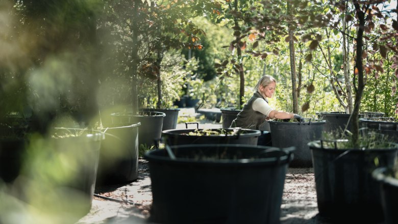 Starkl dobrodružn&aacute; z&aacute;hrada, &copy; Moststra&szlig;e, dochbodnliacht