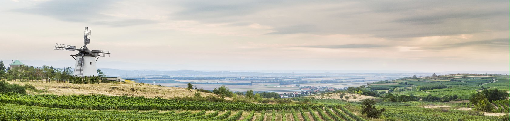 Veterný mlyn v Retzi vo Weinviertel, © Niederösterreich-Werbung/ M. Liebert