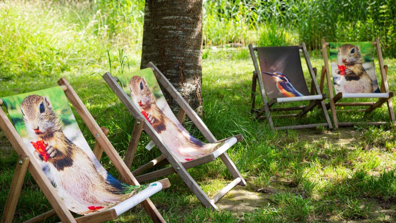 RC_Schloss_Orth_(c)Donau_Niederoesterreich_Barbara_Elser_3, © Barbara Elser