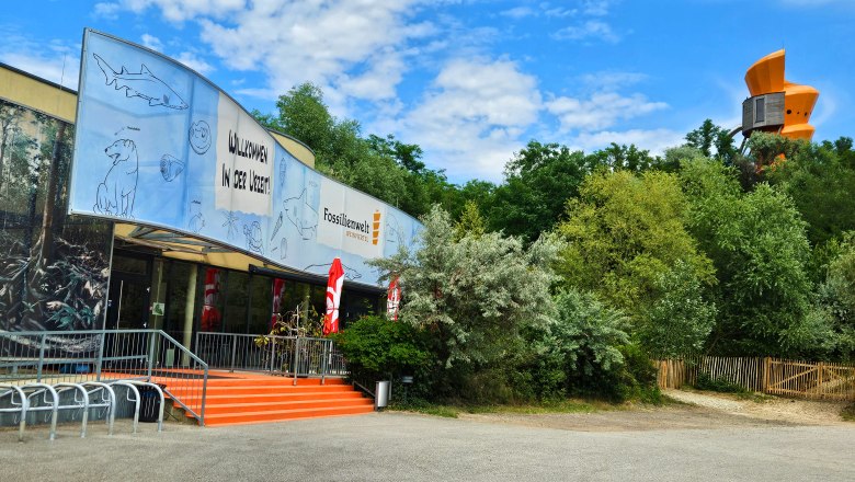 Header_20250623_152250_Banner1(c)Fossilienwelt, © Fossilienwelt