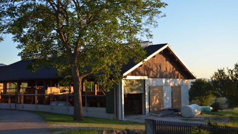 Milk love, Wegbauernhof, &copy; Helen Brandstetter