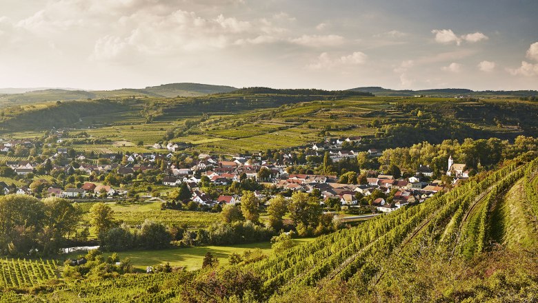 Vínna cesta Kamptal, © Robert Herbst