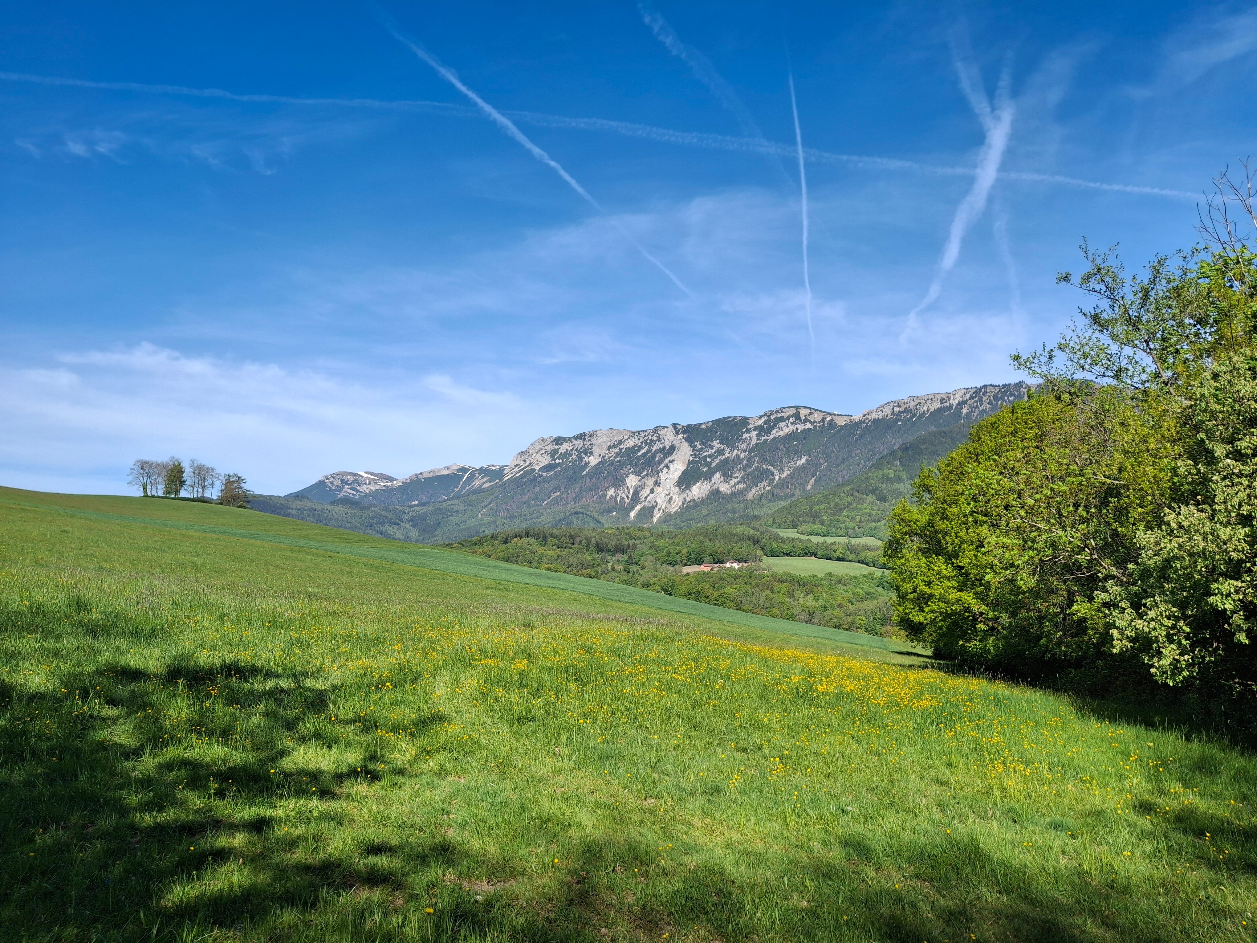 Zelená lúka so žltými kvetmi pred horským panorámom pod modrou oblohou