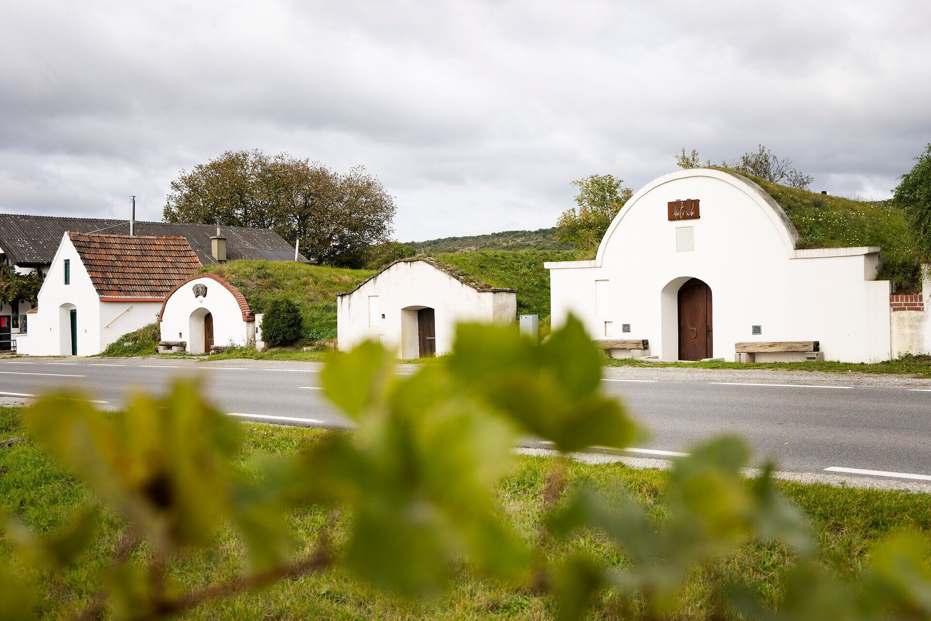 Alte Weinkeller entlang einer Bundesstraße. 
