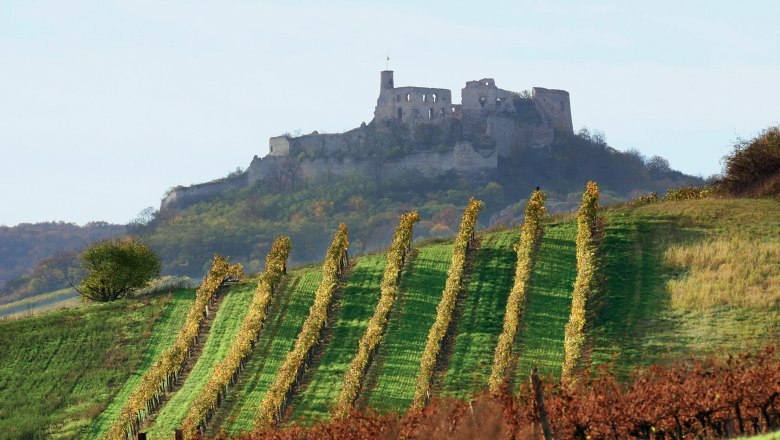 Falkenstein vo Weinvierteli, © WTG/ Weiss