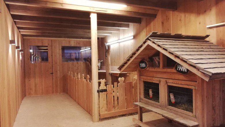 Pohľad do interiéru drevenej ohrady pre kozy s výbehom a malým domčekom.