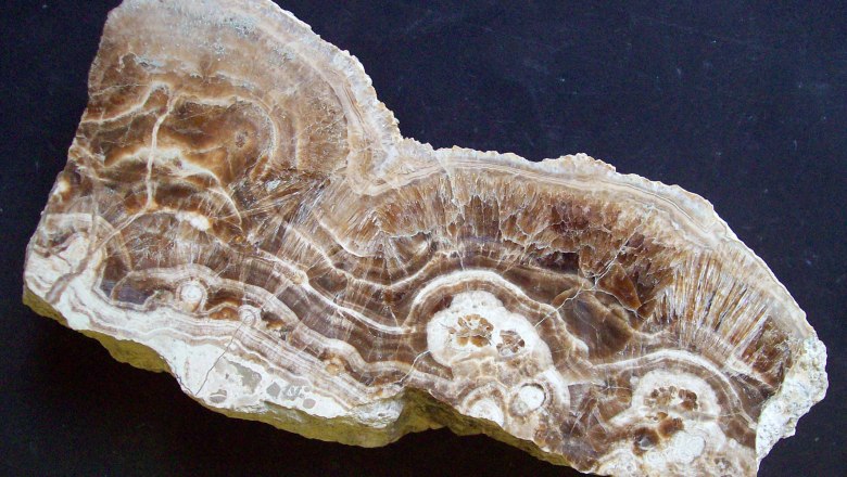 Aragonite Jennyberg, &copy; thinschmidt