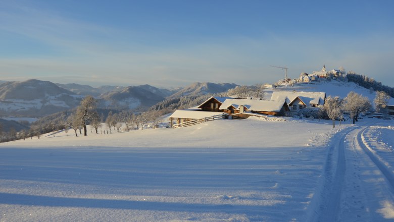 Ebenbauer organic farm in winter, &copy; Gottfried & Rosina Wagner