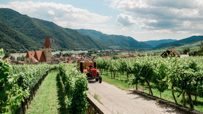 Tractor ride, © Benno Bertl